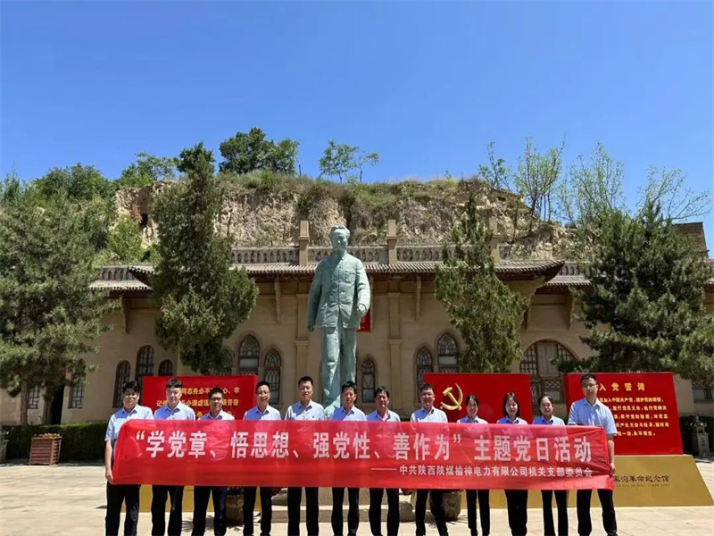 榆神電力公司開展“學黨章、悟思想、強黨性、善作為”主題黨日活動.jpg